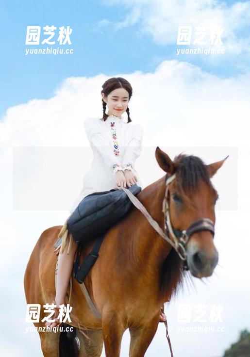 FAIRY CLUB妖精社 - 小梨带来最新镂空写真，美图交织出梦幻与现实的绚丽画面.txt